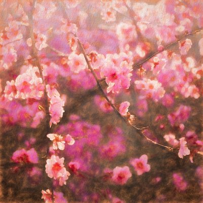 Spring Sprung by Helen White